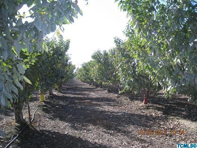17 Acres Commercial Brooks cherries..pol