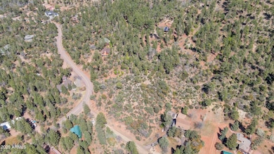 92 W Ralls Drive -- unit 92, Strawberry, AZ 85544 - photo 5