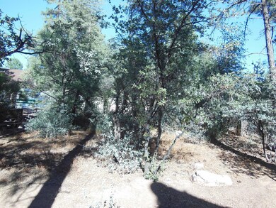 1008 N Chalet Cir, Payson, AZ 85541 - photo 6