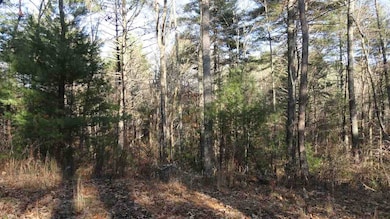 Additional View 3