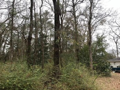 0 Saint Peter Dr, Slidell, LA 70460 - photo 3