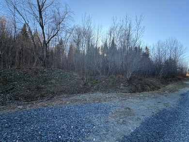 M5 L46D Black Bear Ave, Upper Frenchville, ME 04745 - photo 4