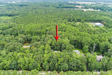 167 Long Swamp Rd, New Egypt, NJ 08533 - photo 2