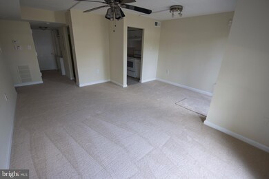 5804A Village Green Dr unit A, Alexandria, VA 22309 - photo 5