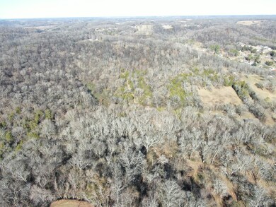 0 N 3rd St, Pulaski, TN 38478 - photo 5