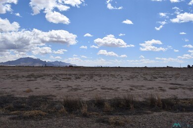 XXXX Angus Rd Se Block 4 Lot 6, Deming, NM 88030 - photo 2