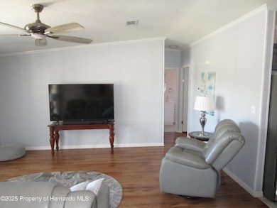 9228 Basil St, Brooksville, FL 34613 - photo 4