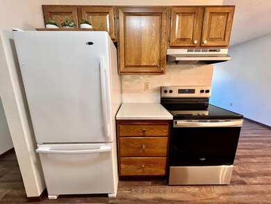 1828 Perlich Ave unit 1C, Red Wing, MN 55066 - photo 4