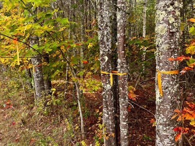 0 Father Rasle Rd, Norridgewock, ME 04957 - photo 6