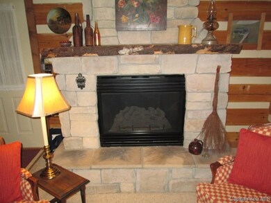 124 Coral Berry Dr, Jacksonville, IL 62650 - photo 5