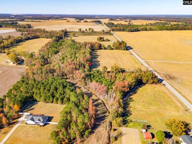 536 Elliott Hwy, Wisacky, SC 29010 - photo 4