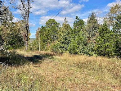 000 Blaty Rd, Lamar, AR 72846 - photo 6