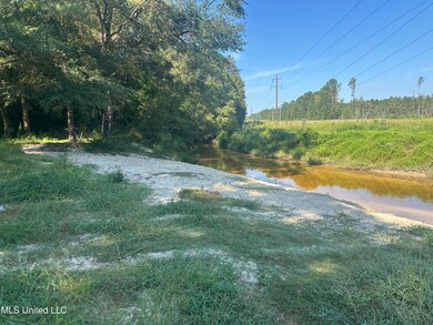 0 Mary Cochran Rd, Lucedale, MS 39452 - photo 3