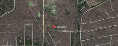 1710 Peaceful Hollow Dr, Horseshoe Bend, AR 72512 - photo 3