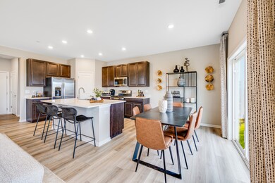 12205 Dodwell St, Huntley, IL 60142 - photo 6