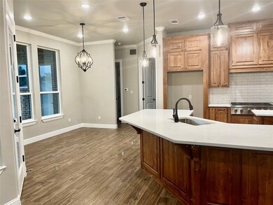 404 Lake Arbor Dr, Weatherford, TX 76485 - photo 4