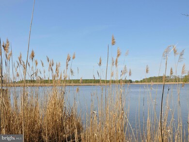 0 Griffith Neck Rd unit 1000100357, Cambridge, MD 21613 - photo 6