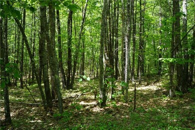 0-8-78 Harvest Ln, Wells, ME 04090 - photo 7