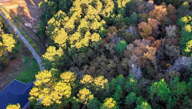 Aerial of wooded section