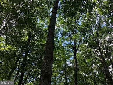 23 High Mountain View Rd, Three Chrs, WV 26757 - photo 6