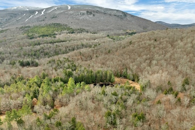 Lot 7 Rod and Gun Club Rd, Ludlow, VT 05149 - photo 6