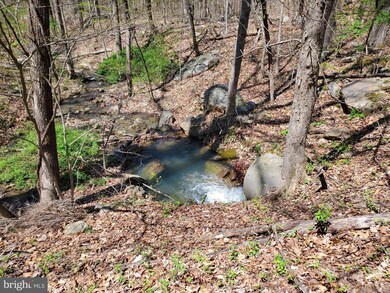 0 Brush Leaf Ln unit VASH2003004, Mount Jackson, VA 22842 - photo 4