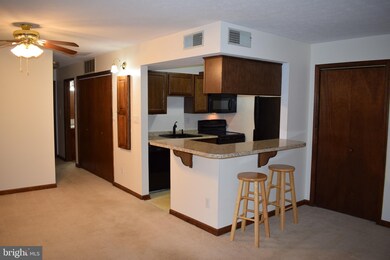 23313 Sugar Maple Ct unit 827, California, MD 20619 - photo 3
