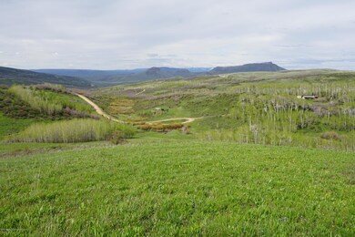 DSC00560