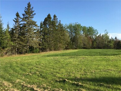 Looking toward NW edge of land.