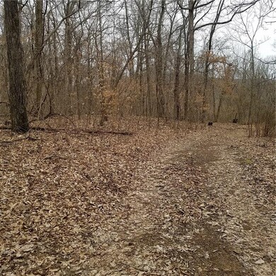 0 23 89 Ac Cr 4099 unit 1107420, Crosses, AR 72727 - photo 6