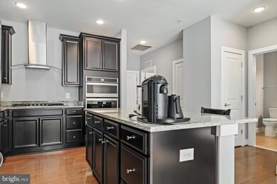 11200 Reston Station Blvd unit 503, Reston, VA 20190 - photo 7