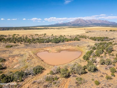 0 E Long Point Rd, Monticello, UT 84511 - photo 2
