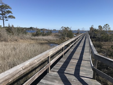 206 Royal Palms Way, Holly Ridge, NC 28445 - photo 4