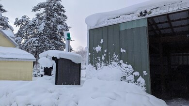 Exterior - Backyard 2 2024