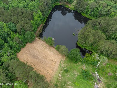 1597 Old Lake Rd drone-27