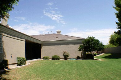 Backyard side
