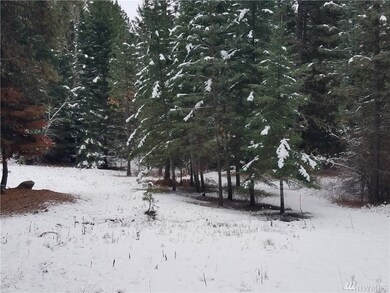 710 Highland Loop, Ronald, WA 98940 - photo 4