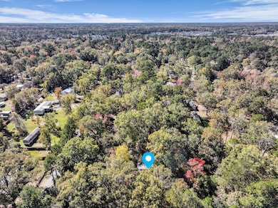 497 Renau Blvd, Summerville, SC 29483 - photo 2