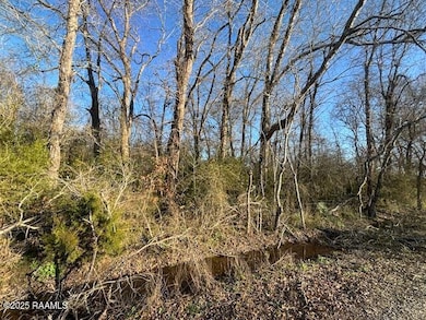 0 Heard Sylvester Rd, Washington, LA 70589 - photo 2