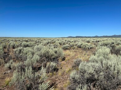 IMG_6232 (1)