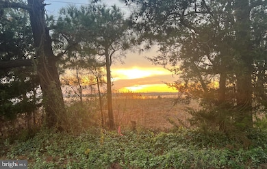 9248 Shore Dr, Milford, DE 19963 - photo 7