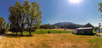 2358 Stingy Ln, Chewelah, WA 99109 - photo 4