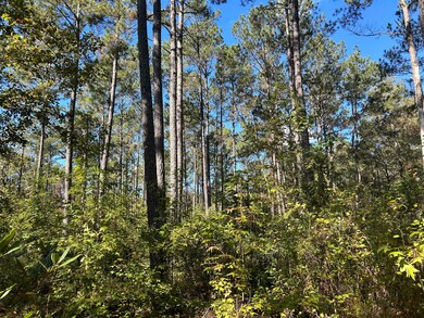 2000 Oak Hill Rd, Eastover, SC 29044 - photo 6