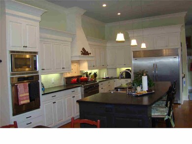 Cook's kitchen with huge island