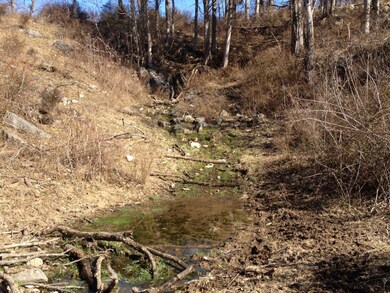 0 Timber Ridge Rd unit 716 126277, Fairfield, VA 24435 - photo 5