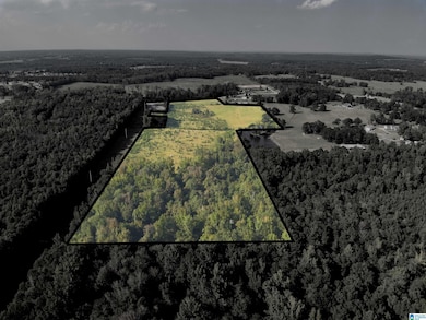 0 New Harmony Rd unit 35 acres +/-, Clanton, AL 35045 - photo 5