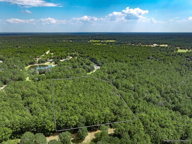 17526 E Terrace Oaks Dr, Waller, TX 77484 - photo 6