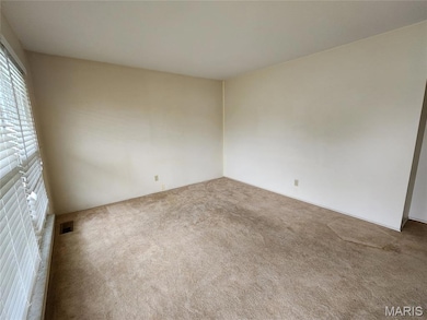 218 John St, Troy, MO 63379 - photo 6