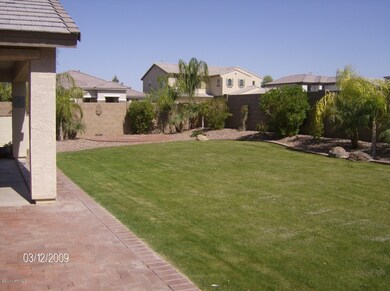 Backyard 2