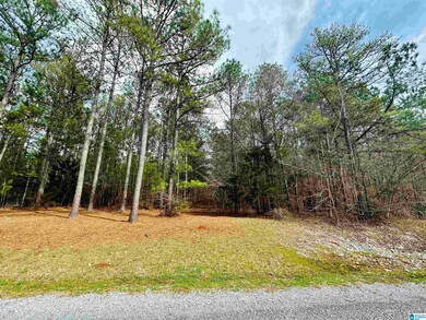 000 Wildberry Ln unit 13, Sylacauga, AL 35151 - photo 5